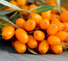 Fresh Sea Buckthorn Berries 500g to 1kg